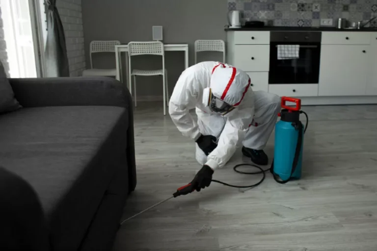a-guide-to-preparing-your-home-for-pest-control-services-pli2pkq340s1m9zlqjsymtqa84s2w320tvryes0aww